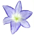 23a23873ba0e6a631ecde6e2372daff3f2e9eefe