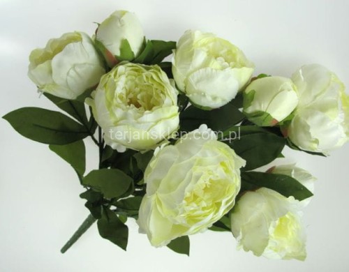 c4afaea2605ec3aadf44ca1fb5184c84c15da2b3