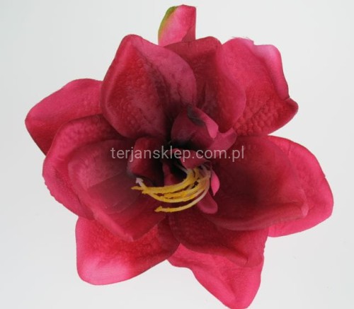 6a4cf56ab544fa02771d412600c0e07595517dd7