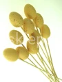2b9659cd6557fb8cc1a5f76bfdb8f63dcedeb6ff