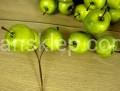 IMG_4865.jpg
