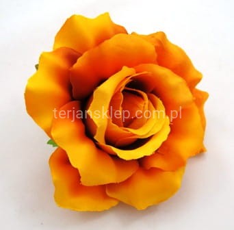 Róża wyrobowa F004 coffee