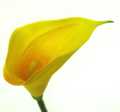 b32fdde89215c93e48b79ec3c1f3e07bf9d50ff6