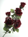 6833be26a6ce7fa96a759c91d0545a850aa960d8