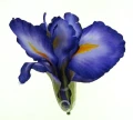 f82fd7e13baec99af4eebe8d27a8a5b969dd83b7