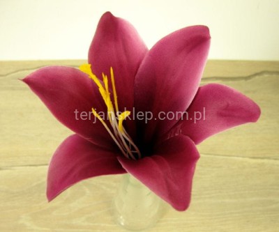 Lilia kielichowa J180 (12 szt) burgundy L26