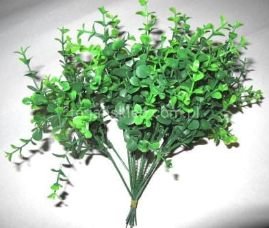 Borowinka E046 - pęczek