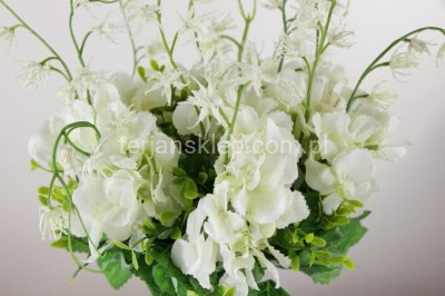 Hortensje na piku LIU287 (12 szt) white cream #62