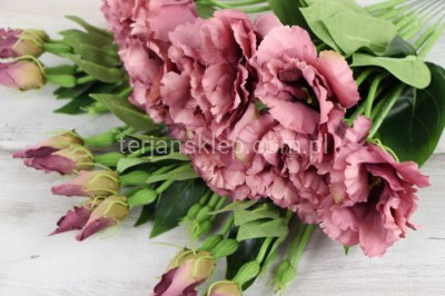 Eustoma SUN357 (12 szt) mauve #1696