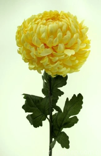 21f8ce0c75c7f97196ddf5102ea8bdcd3148c212