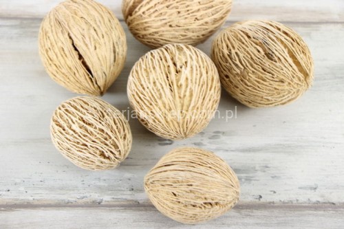 00002180.JPG