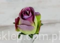 00003033.JPG