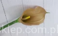 00005264.JPG
