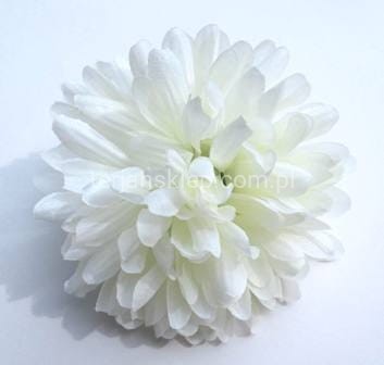 Chryzantema K022 (12 szt) cream