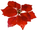 de0c59e3b2f97214ec403d09147dd4bd6559290e