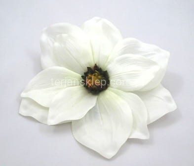Magnolia C368 biel/krem #A