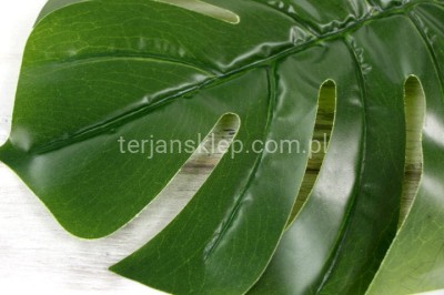 Liść Monstera RX067 (12 szt)