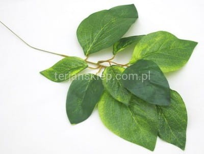 Liście RX039 (12 szt) zielone