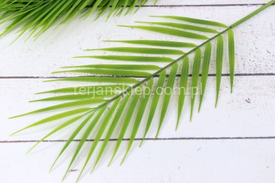 Paproć gumowana RX142 A (12 szt)