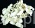 e49abf4aa322cd0f34844e78f39aadda089d9cdf