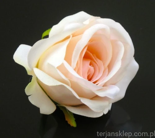 9fb413bf08c2a70f1ed46d4c55f5cbcc6c805a7f