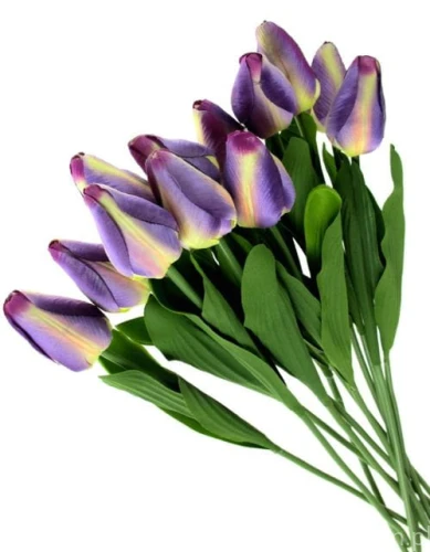 722be859a9b7c60e65c2c18cd7e4565efd09e2e9
