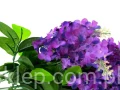 b89f9d37a971f75ce68e05110bc6f5169b63a951