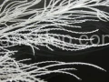 173ec65aa141172dec519fff0f1aadfdfd599195