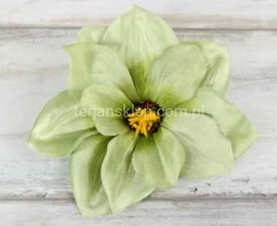 Magnolia C368  lt green #AT