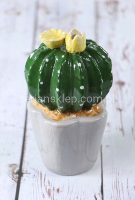 Kaktus ceramiczny TG39796