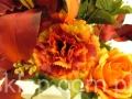 IMG_2618.jpg