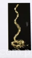 00002537.JPG
