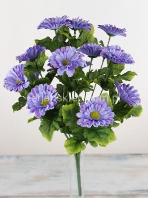 Bukiet margaretka C341 E j.fiolet