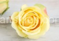 IMG_4213.JPG