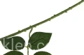 c25f0a1a48e6eccb46045fc4205de91b229ef8de