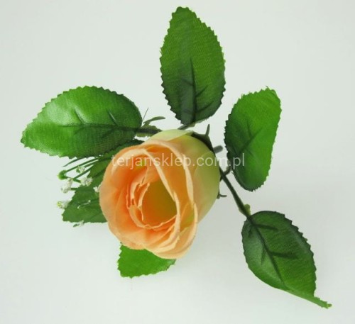 de6c884dacb8c5730e9c02a61f8c088dea31fef3