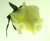 38c7e4afa45a8d93e596c37c96c2ab1364566e09