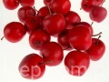 8c2c392b2bbb78d611f5cf6dc4bd7441cb525a1c