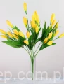 IMG_5015.JPG