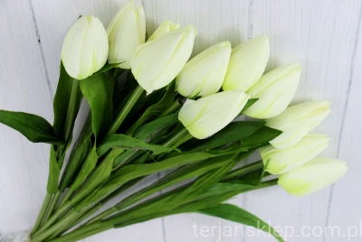 Tulipany wiązka G008 (12 szt) cream