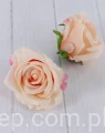 00007316.JPG