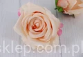00007317.JPG
