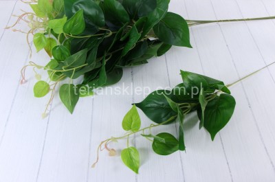 Gałązka bluszczowa LUX (12 szt) YD152