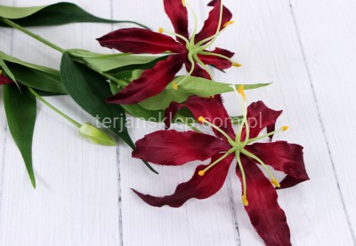 Glorioza SUN588 dr red #2372