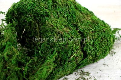 Mech sztuczny (50 g) DY180002S / BH181AK