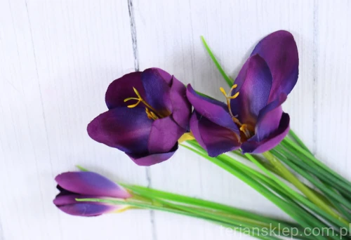 00007520_Easy-Resize.com.jpg