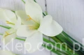 00007522_Easy-Resize.com.jpg