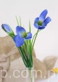 00007524_Easy-Resize.com.jpg
