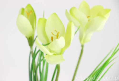 00007527_Easy-Resize.com.jpg