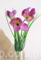 00007528_Easy-Resize.com.jpg